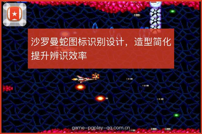 沙罗曼蛇图标识别设计，造型简化提升辨识效率
